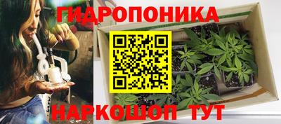 a pvp Кулебаки