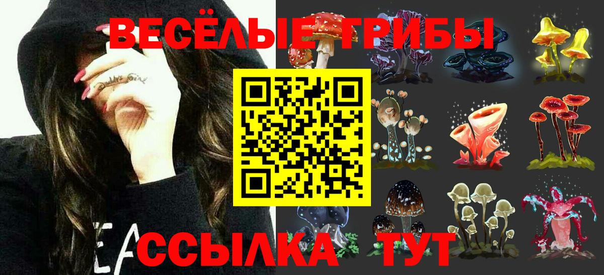 Псилоцибиновые грибы Psilocybe  Вход с VPN  Армавир 