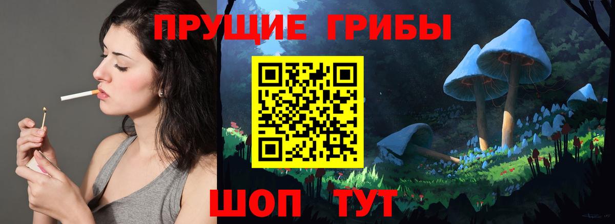 Галлюциногенные грибы Psilocybe Армавир
